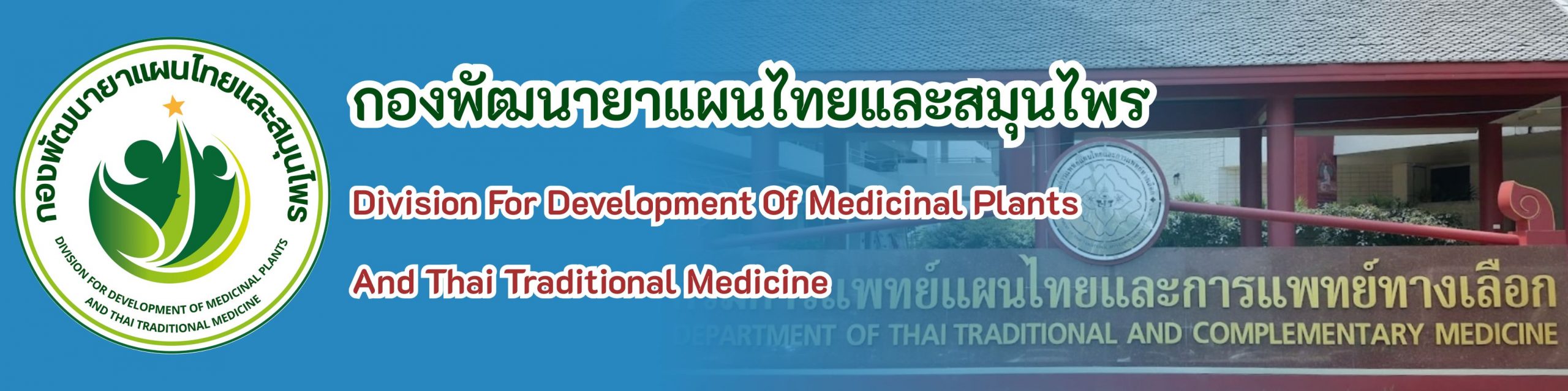ddmt-banner