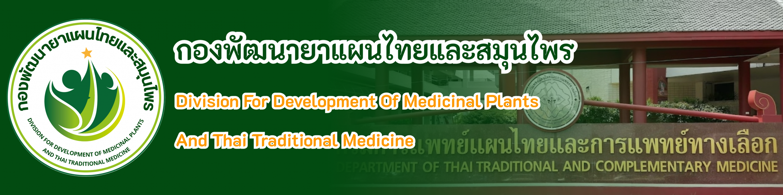 กองพัฒนายาแผนไทยและสมุนไพร cover